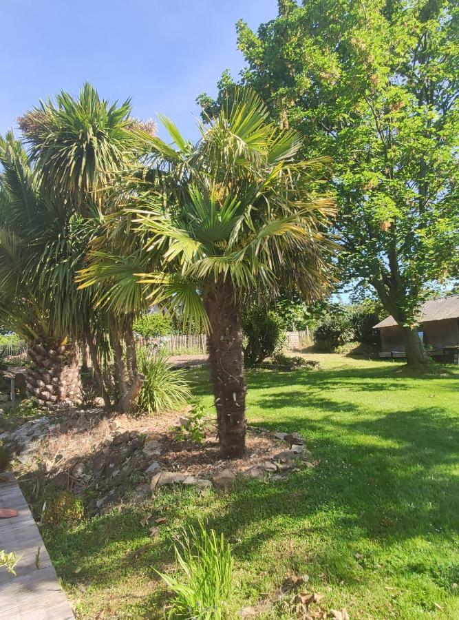 La Petite Hautiere Maison 2 Personnes Plouer Sur Rance Avec Piscine Daire Dış mekan fotoğraf