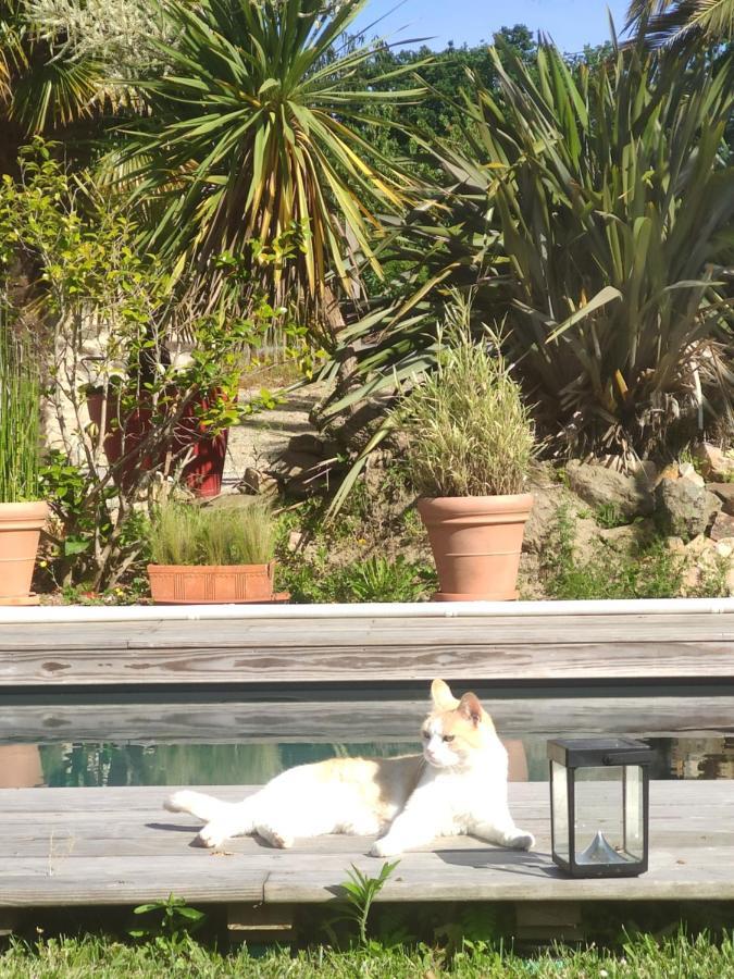 La Petite Hautiere Maison 2 Personnes Plouer Sur Rance Avec Piscine Daire Dış mekan fotoğraf